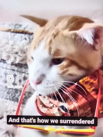 IMG_20240920_130826 (1)